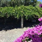 A Casa Da Celeste *
