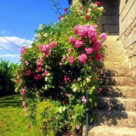 A Casa Da Celeste Villa