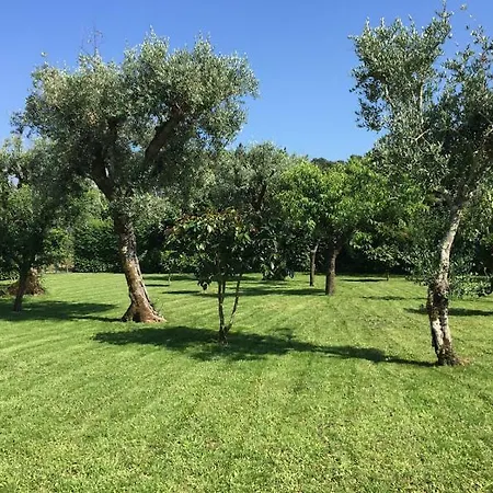 A Casa Da Celeste Villa Fagilde