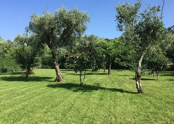 A Casa Da Celeste Βίλα Fagilde